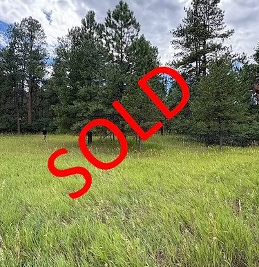 1028 Crow Dr — Larkspur, CO