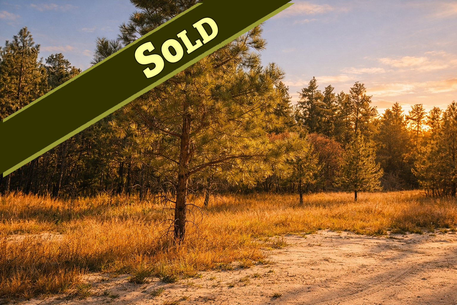 3715 El Rancho Way — Monument, CO (west side)