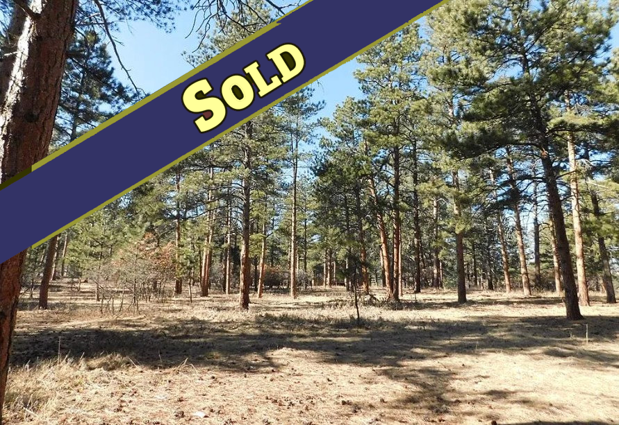 5845 S Pike Dr — Larkspur, CO
