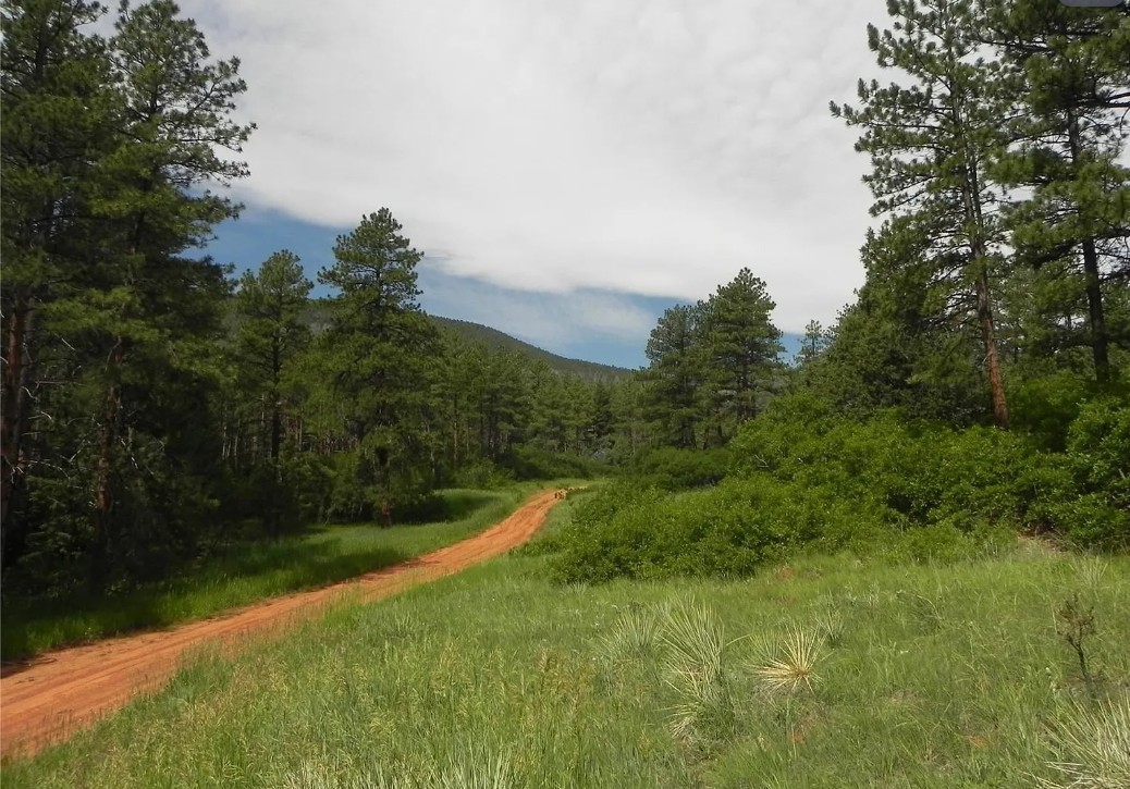 8160 Bannock Dr — Larkspur, CO
