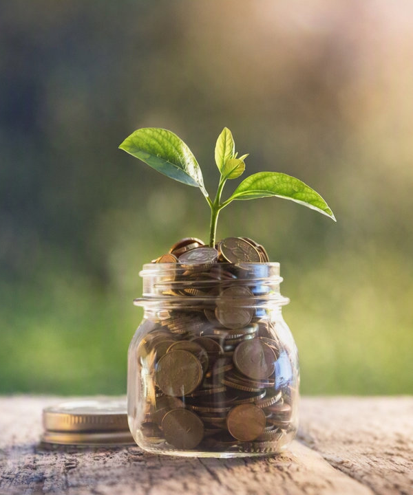 Coins in a glass jar with a seedling growing out of the top, symbolizing construction financing growth