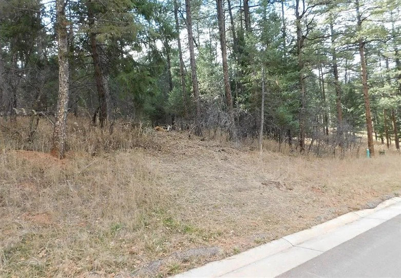 8139 Bannock Dr
