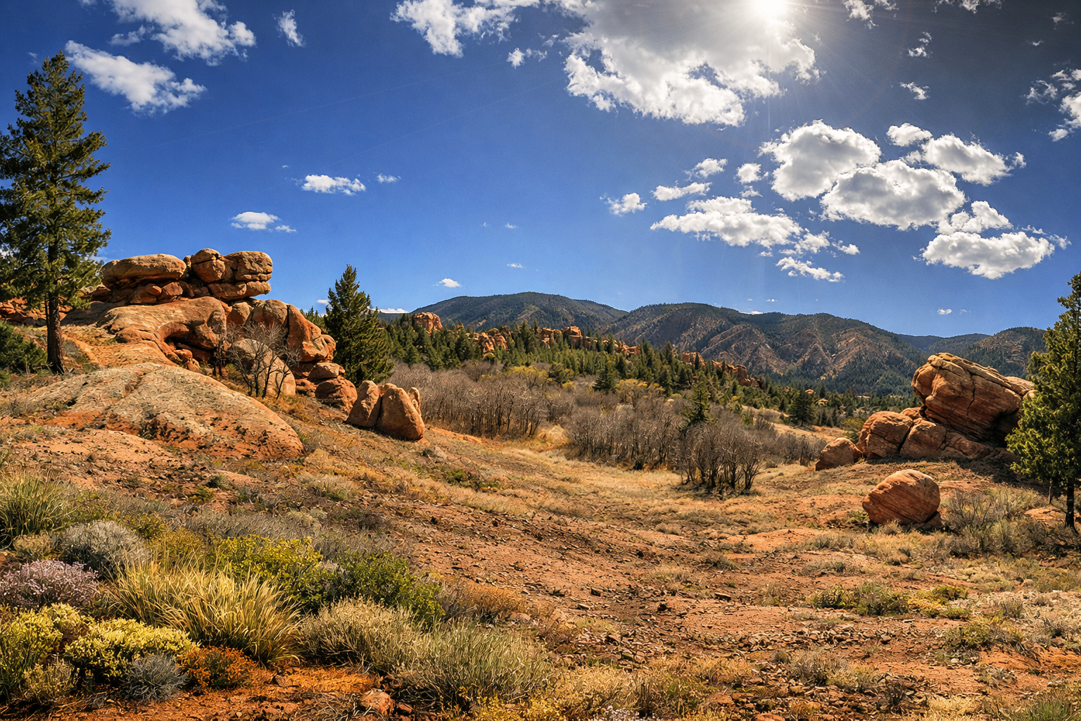 6382 Country Club Dr — Larkspur, CO
